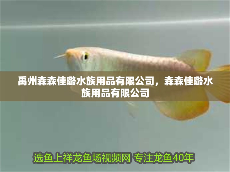 禹州森森佳璐水族用品有限公司，森森佳璐水族用品有限公司