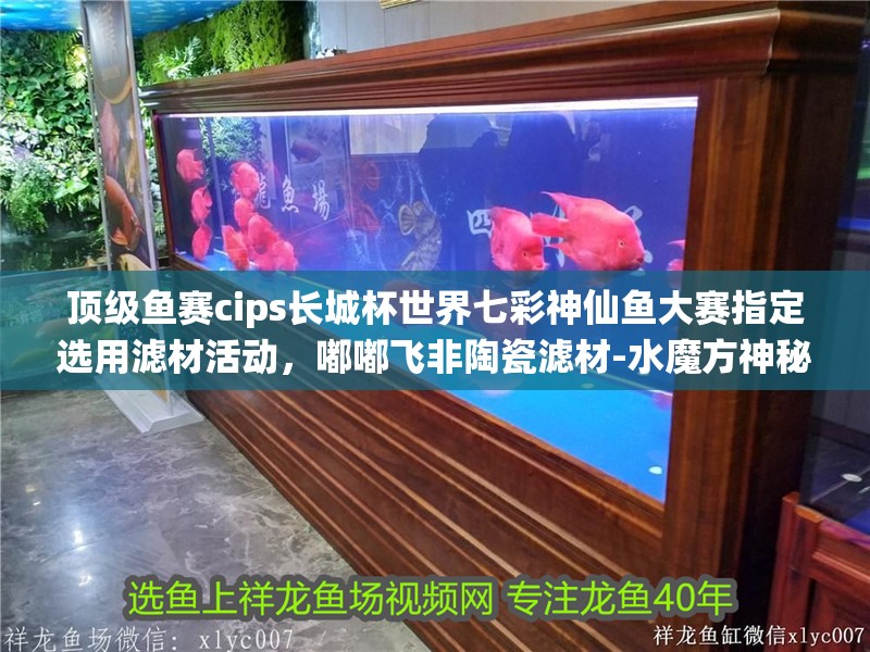 頂級魚賽cips長城杯世界七彩神仙魚大賽指定選用濾材活動，嘟嘟飛非陶瓷濾材-水魔方神秘“魔冊”