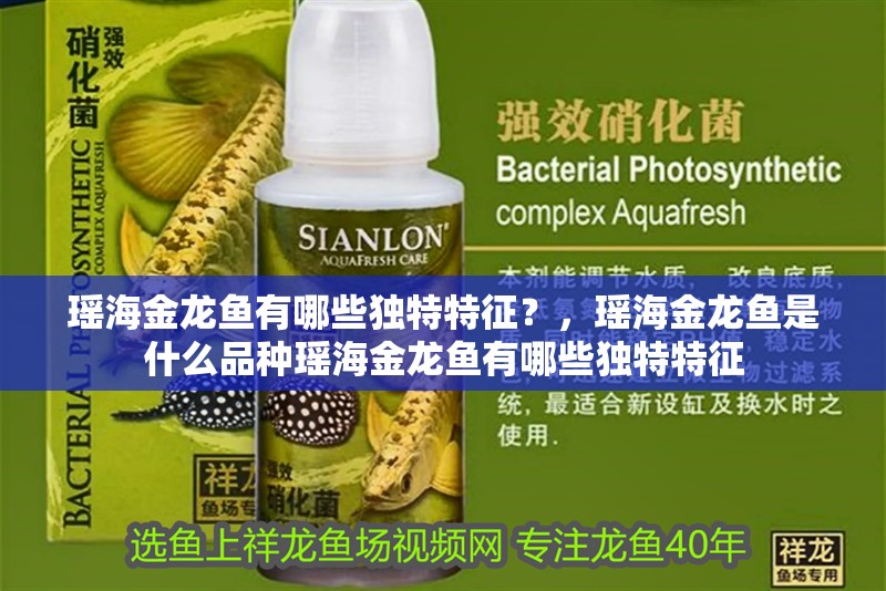 瑤海金龍魚有哪些獨特特征？，瑤海金龍魚是什么品種瑤海金龍魚有哪些獨特特征