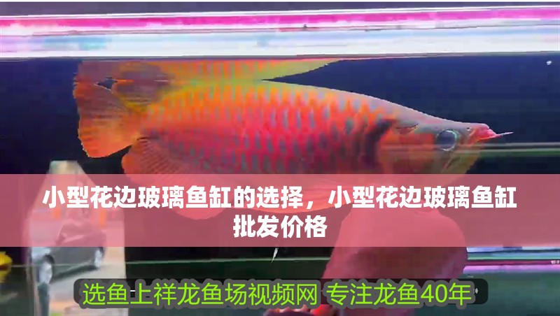 小型花邊玻璃魚缸的選擇，小型花邊玻璃魚缸批發價格 小型花邊玻璃魚缸的選擇，小型花邊玻璃魚缸批發價格 觀賞魚百科 第2張