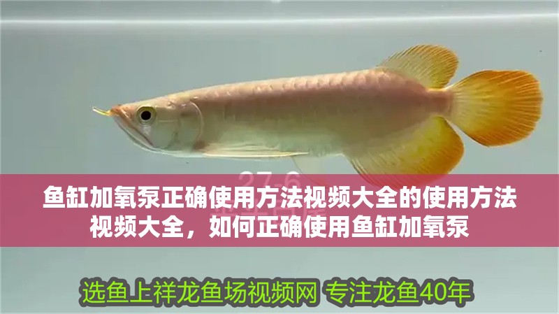 魚缸加氧泵正確使用方法視頻大全的使用方法視頻大全，如何正確使用魚缸加氧泵 魚缸加氧泵正確使用方法視頻大全的使用方法視頻大全，如何正確使用魚缸加氧泵 觀賞魚百科