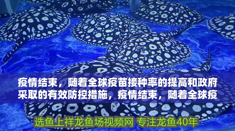 疫情結(jié)束，隨著全球疫苗接種率的提高和政府采取的有效防控措施，疫情結(jié)束，隨著全球疫苗接種率的提高