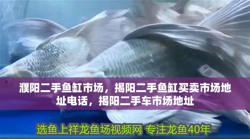濮陽(yáng)二手魚(yú)缸市場(chǎng)，揭陽(yáng)二手魚(yú)缸買(mǎi)賣(mài)市場(chǎng)地址電話(huà)，揭陽(yáng)二手車(chē)市場(chǎng)地址