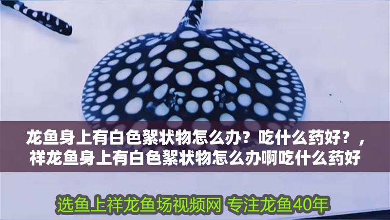 龍魚身上有白色絮狀物怎么辦？吃什么藥好？，祥龍魚身上有白色絮狀物怎么辦啊吃什么藥好吃什么藥好