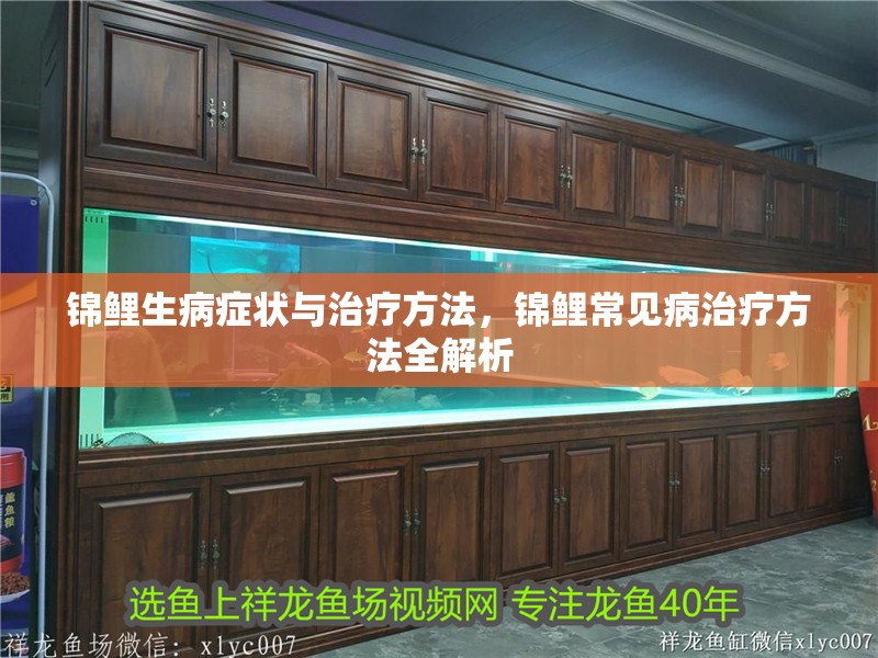 錦鯉生病癥狀與治療方法，錦鯉常見(jiàn)病治療方法全解析