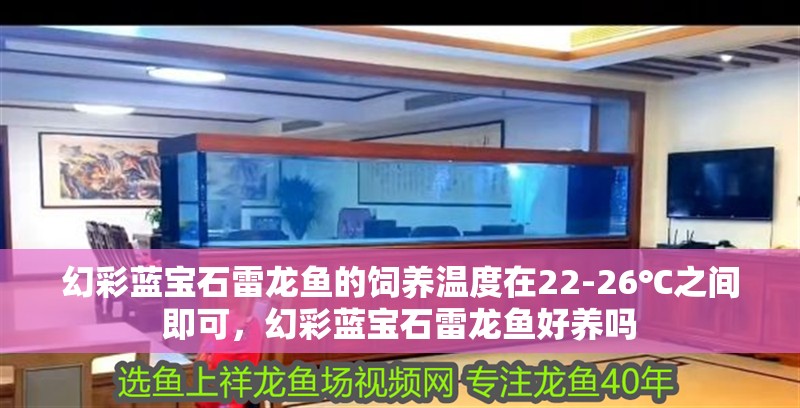 幻彩藍寶石雷龍魚的飼養溫度在22-26℃之間即可，幻彩藍寶石雷龍魚好養嗎