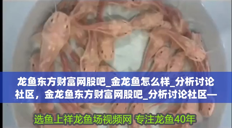 龍魚東方財富網(wǎng)股吧_金龍魚怎么樣_分析討論社區(qū)，金龍魚東方財富網(wǎng)股吧_分析討論社區(qū)—東方財富網(wǎng)股吧