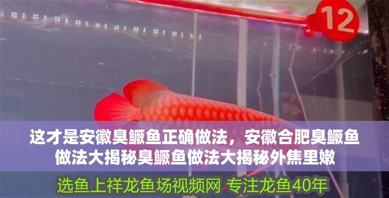 這才是安徽臭鱖魚正確做法，安徽合肥臭鱖魚做法大揭秘臭鱖魚做法大揭秘外焦里嫩