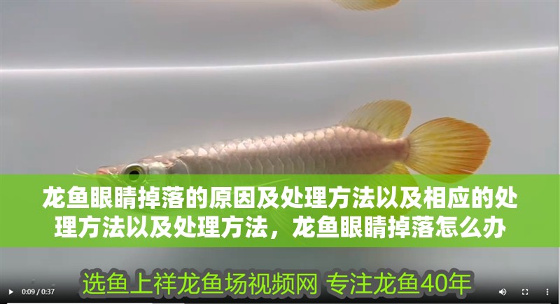 龍魚眼睛掉落的原因及處理方法以及相應的處理方法以及處理方法，龍魚眼睛掉落怎么辦
