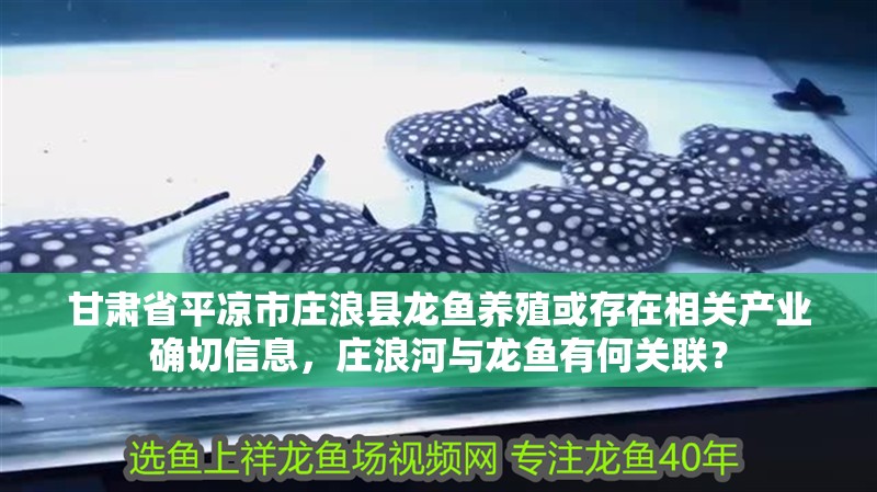 甘肅省平涼市莊浪縣龍魚養殖或存在相關產業確切信息，莊浪河與龍魚有何關聯？
