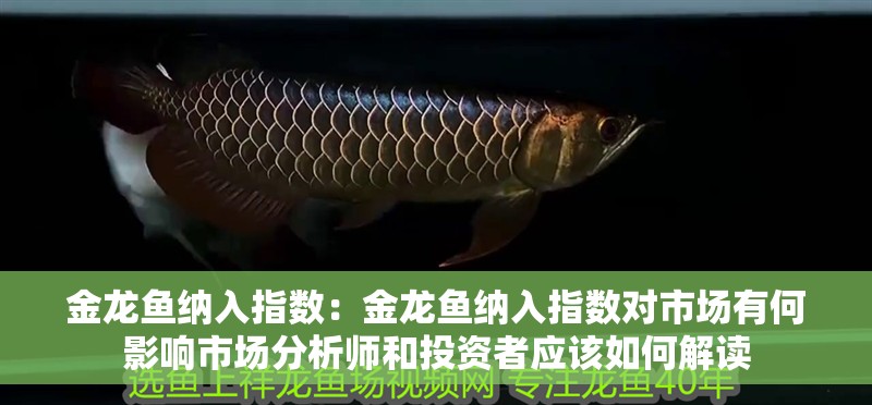 金龍魚納入指數(shù)：金龍魚納入指數(shù)對市場有何影響市場分析師和投資者應該如何解讀