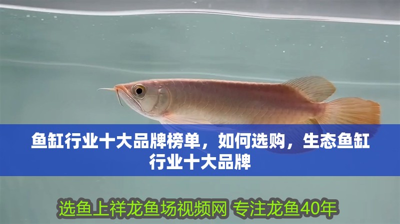 魚缸行業(yè)十大品牌榜單，如何選購，生態(tài)魚缸行業(yè)十大品牌