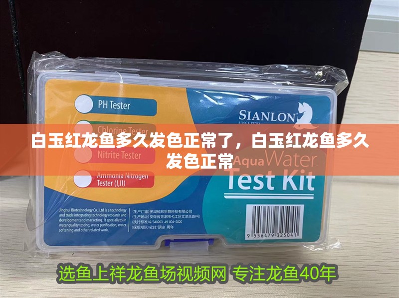 白玉紅龍魚多久發色正常了，白玉紅龍魚多久發色正常