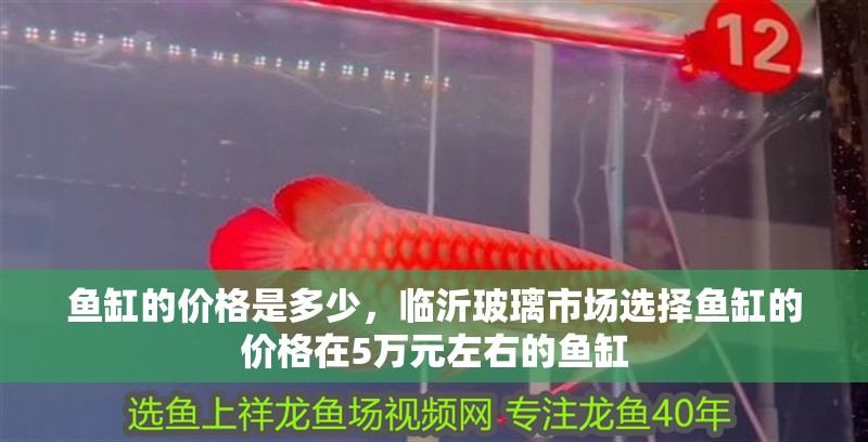 魚缸的價格是多少，臨沂玻璃市場選擇魚缸的價格在5萬元左右的魚缸