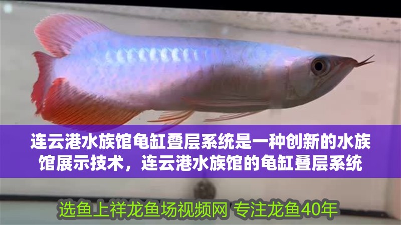 連云港水族館龜缸疊層系統是一種創新的水族館展示技術，連云港水族館的龜缸疊層系統