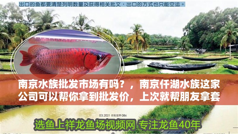 南京水族批發(fā)市場有嗎？，南京仟湖水族這家公司可以幫你拿到批發(fā)價，上次就幫朋友拿套缸