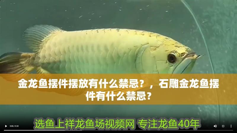 金龍魚擺件擺放有什么禁忌？，石雕金龍魚擺件有什么禁忌？