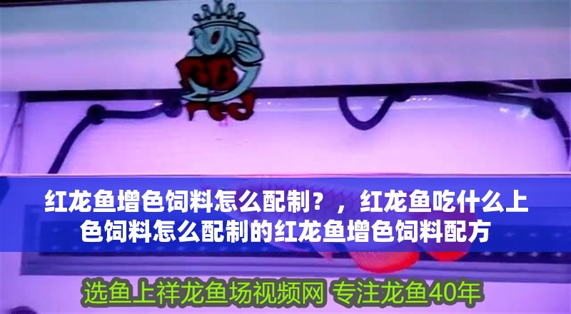 紅龍魚增色飼料怎么配制？，紅龍魚吃什么上色飼料怎么配制的紅龍魚增色飼料配方