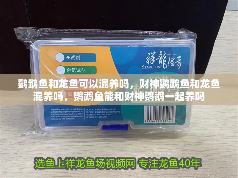 鸚鵡魚和龍魚可以混養(yǎng)嗎，財神鸚鵡魚和龍魚混養(yǎng)嗎，鸚鵡魚能和財神鸚鵡一起養(yǎng)嗎