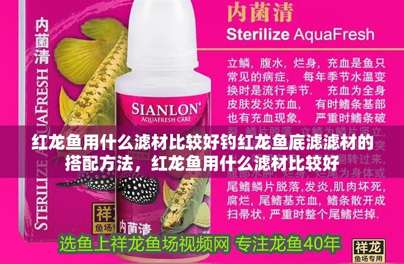 紅龍魚用什么濾材比較好釣紅龍魚底濾濾材的搭配方法，紅龍魚用什么濾材比較好