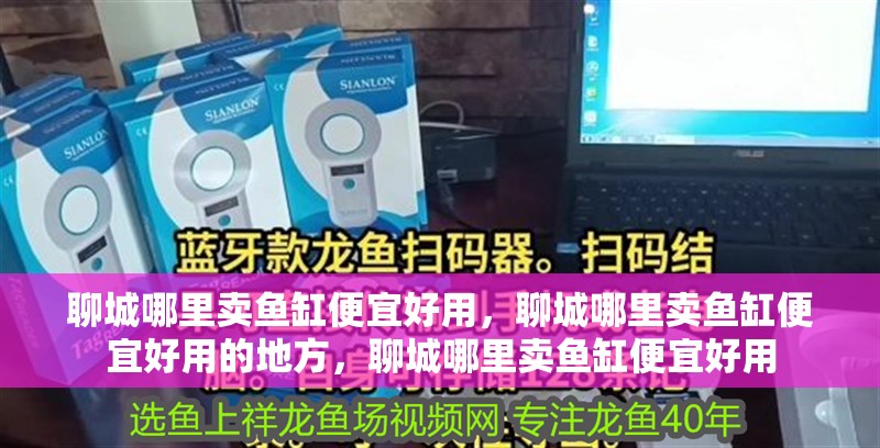 聊城哪里賣魚缸便宜好用，聊城哪里賣魚缸便宜好用的地方，聊城哪里賣魚缸便宜好用 聊城哪里賣魚缸便宜好用，聊城哪里賣魚缸便宜好用的地方，聊城哪里賣魚缸便宜好用 觀賞魚百科 第2張
