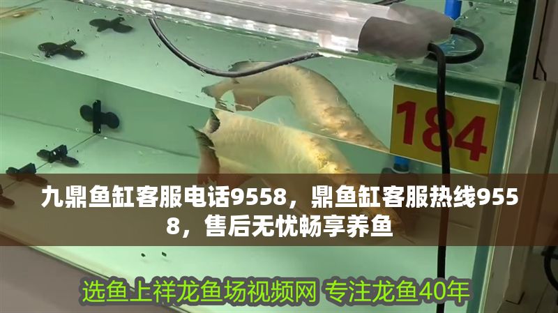 九鼎魚缸客服電話9558，鼎魚缸客服熱線9558，售后無憂暢享養(yǎng)魚