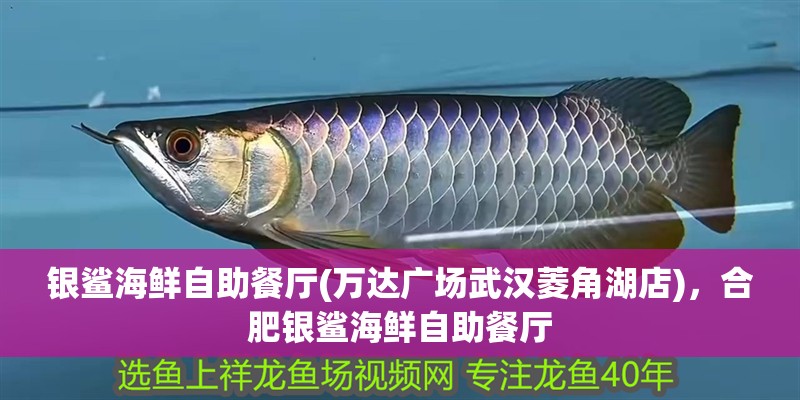 銀鯊海鮮自助餐廳(萬達廣場武漢菱角湖店)，合肥銀鯊海鮮自助餐廳