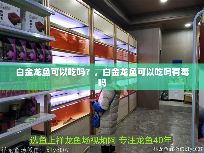 白金龍魚(yú)可以吃嗎？，白金龍魚(yú)可以吃嗎有毒嗎