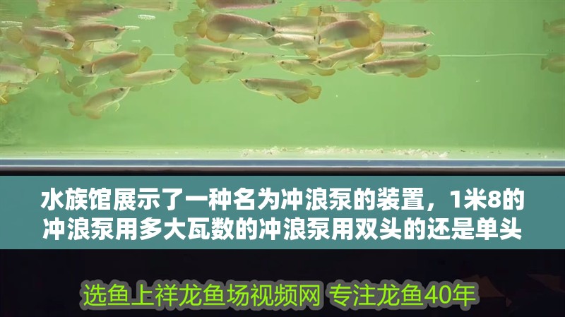 水族館展示了一種名為沖浪泵的裝置，1米8的沖浪泵用多大瓦數的沖浪泵用雙頭的還是單頭的