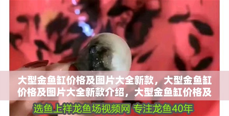 大型金魚缸價(jià)格及圖片大全新款，大型金魚缸價(jià)格及圖片大全新款介紹，大型金魚缸價(jià)格及圖片大全新款