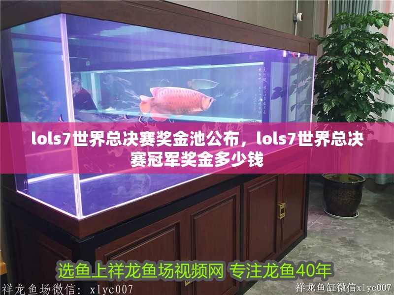 lols7世界總決賽獎金池公布，lols7世界總決賽冠軍獎金多少錢