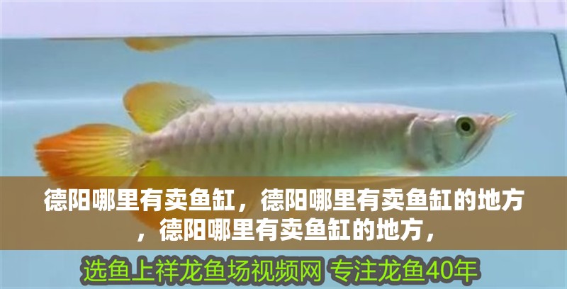 德陽哪里有賣魚缸，德陽哪里有賣魚缸的地方，德陽哪里有賣魚缸的地方， 德陽哪里有賣魚缸，德陽哪里有賣魚缸的地方，德陽哪里有賣魚缸的地方， 觀賞魚百科 第2張