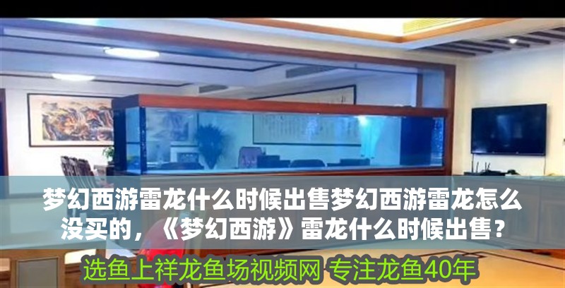 夢幻西游雷龍什么時候出售夢幻西游雷龍怎么沒買的，《夢幻西游》雷龍什么時候出售？