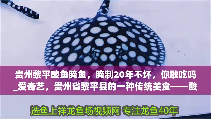 貴州黎平酸魚腌魚，腌制20年不壞，你敢吃嗎_愛(ài)奇藝，貴州省黎平縣的一種傳統(tǒng)美食——酸魚腌魚