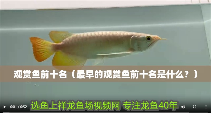 觀賞魚前十名（最早的觀賞魚前十名是什么？）