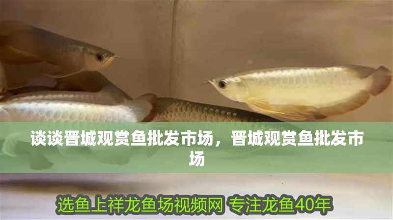 談談晉城觀賞魚批發市場，晉城觀賞魚批發市場
