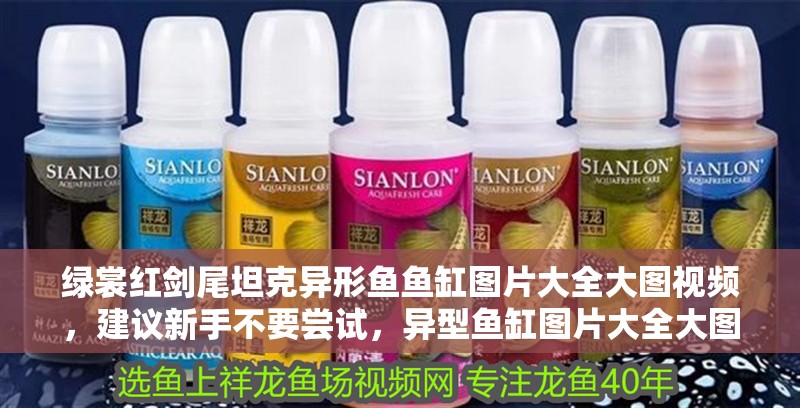 綠裳紅劍尾坦克異形魚魚缸圖片大全大圖視頻，建議新手不要嘗試，異型魚缸圖片大全大圖視頻大全大圖視頻大全大圖視頻 綠裳紅劍尾坦克異形魚魚缸圖片大全大圖視頻，建議新手不要嘗試，異型魚缸圖片大全大圖視頻大全大圖視頻大全大圖視頻 觀賞魚百科