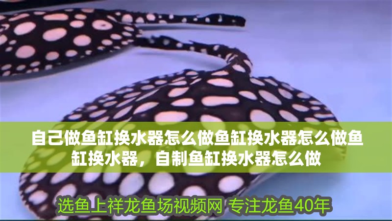 自己做魚缸換水器怎么做魚缸換水器怎么做魚缸換水器，自制魚缸換水器怎么做 自己做魚缸換水器怎么做魚缸換水器怎么做魚缸換水器，自制魚缸換水器怎么做 觀賞魚百科