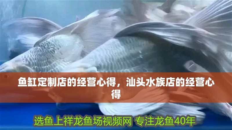 魚缸定制店的經營心得，汕頭水族店的經營心得