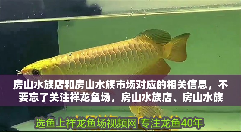 房山水族店和房山水族市場對應的相關(guān)信息，不要忘了關(guān)注祥龍魚場，房山水族店、房山水族市場