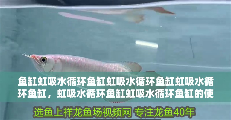 魚缸虹吸水循環魚缸虹吸水循環魚缸虹吸水循環魚缸，虹吸水循環魚缸虹吸水循環魚缸的使用方法--流氓講解