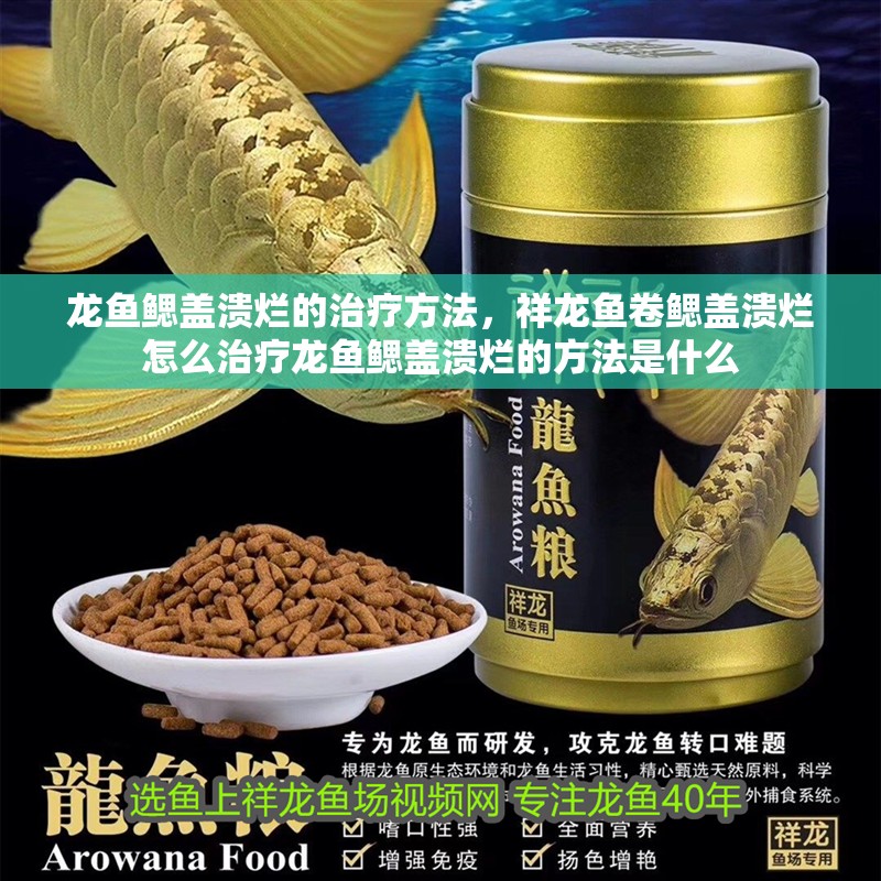 龍魚鰓蓋潰爛的治療方法，祥龍魚卷鰓蓋潰爛怎么治療龍魚鰓蓋潰爛的方法是什么 龍魚鰓蓋潰爛的治療方法，祥龍魚卷鰓蓋潰爛怎么治療龍魚鰓蓋潰爛的方法是什么 觀賞魚百科 第1張