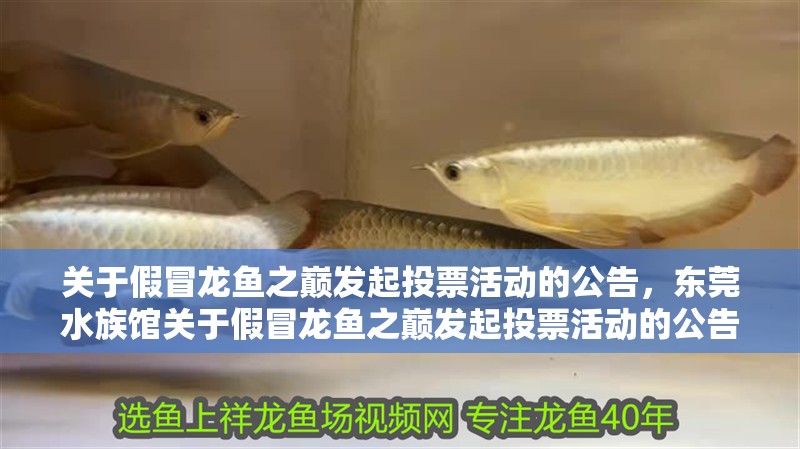 關(guān)于假冒龍魚(yú)之巔發(fā)起投票活動(dòng)的公告，東莞水族館關(guān)于假冒龍魚(yú)之巔發(fā)起投票活動(dòng)的公告，謹(jǐn)慎