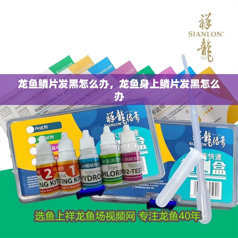 龍魚鱗片發黑怎么辦，龍魚身上鱗片發黑怎么辦