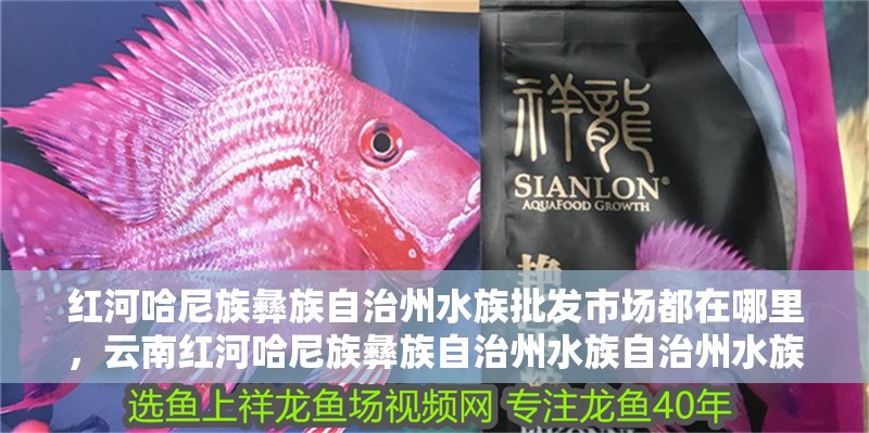紅河哈尼族彝族自治州水族批發市場都在哪里，云南紅河哈尼族彝族自治州水族自治州水族批發市場在哪里