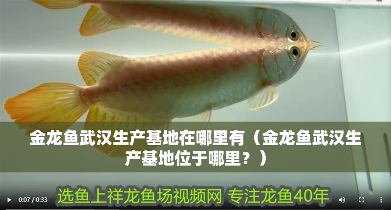 金龍魚武漢生產基地在哪里有（金龍魚武漢生產基地位于哪里？）