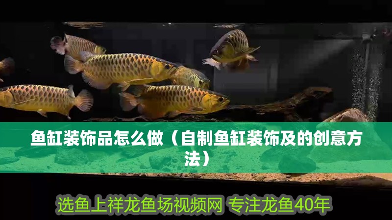魚缸裝飾品怎么做（自制魚缸裝飾及的創(chuàng)意方法）