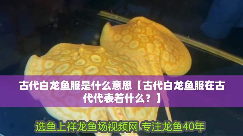 古代白龍魚服是什么意思【古代白龍魚服在古代代表著什么？】