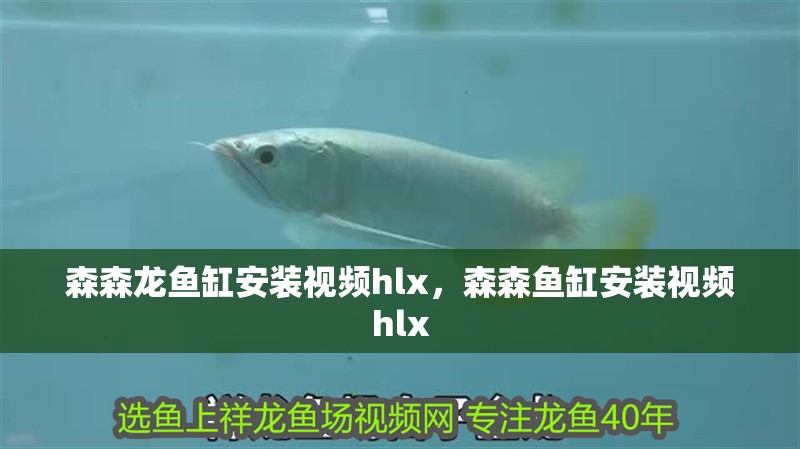 森森龍魚缸安裝視頻hlx，森森魚缸安裝視頻hlx