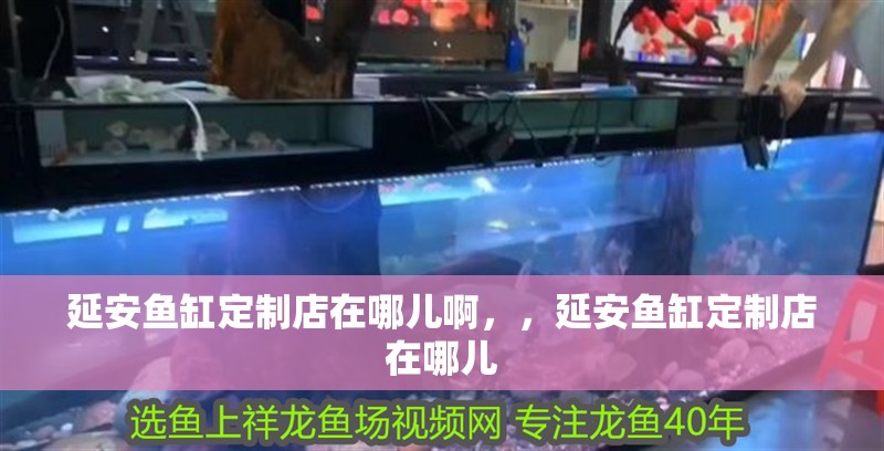 延安魚缸定制店在哪兒啊，，延安魚缸定制店在哪兒
